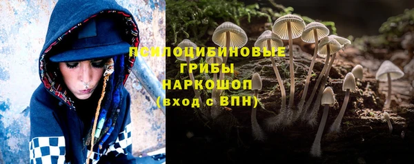 PSILOCYBIN Арсеньев